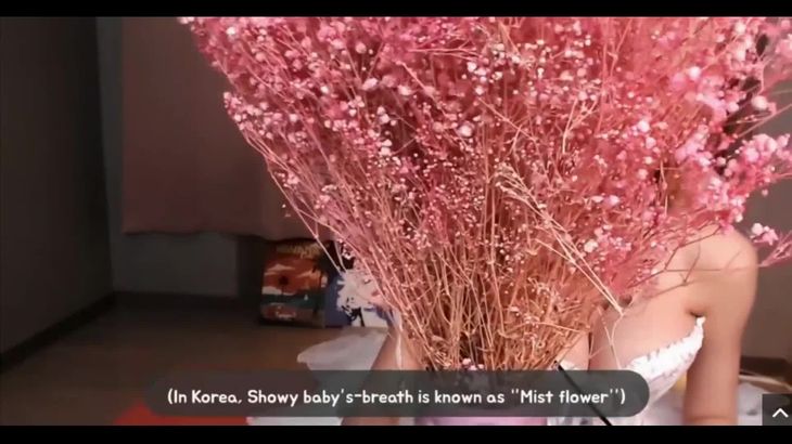 性感韩国小姐姐的安眠向